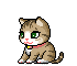 cat 10